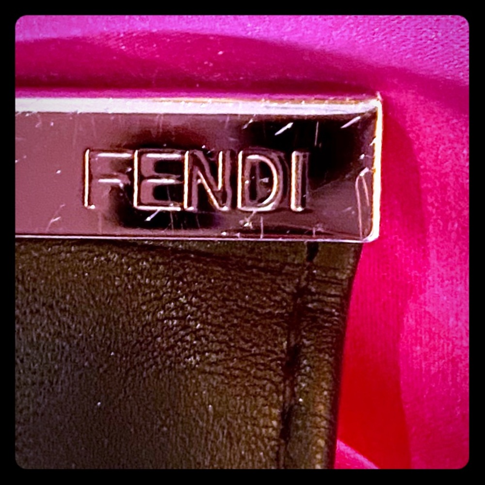 FENDI Sunglass Case/ Slide